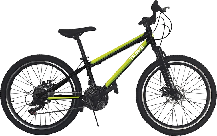 Bicicleta TS Bike Aro 24 M1