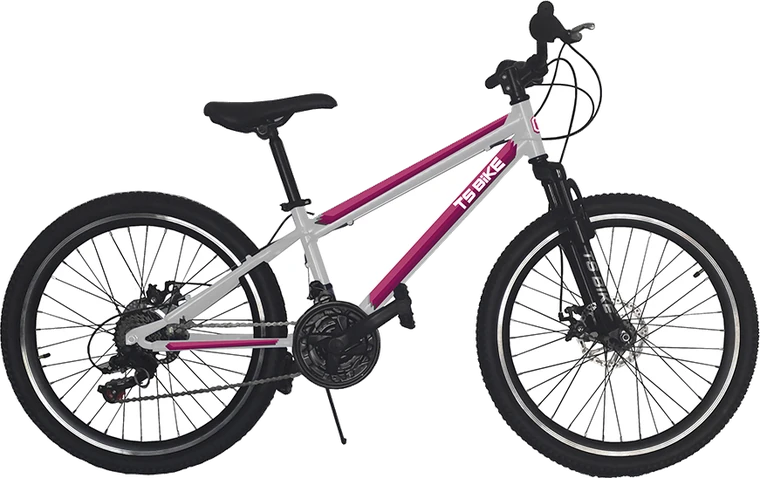 Bicicleta TS Bike Aro 24 Acero