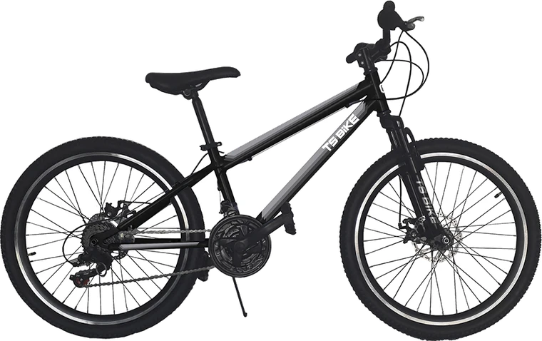 Bicicleta TS Bike Aro 24 Acero