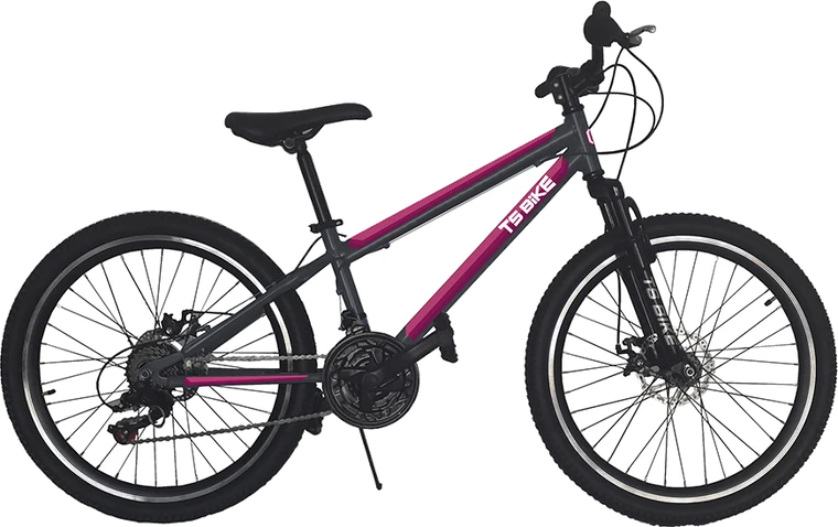 Bicicleta TS Bike Aro 24 Acero