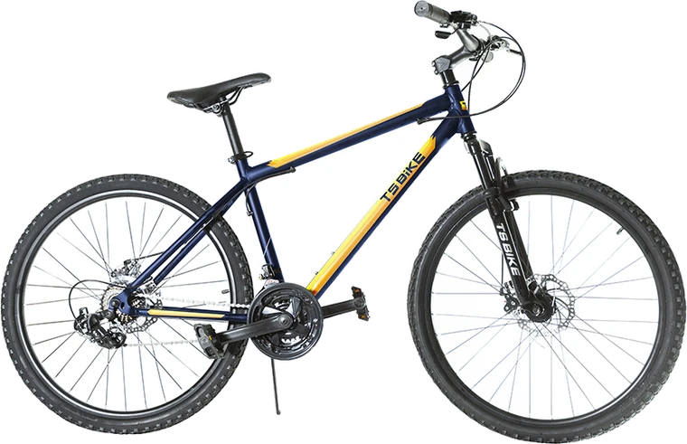Bicicleta TS Bike Aro 29 Acero
