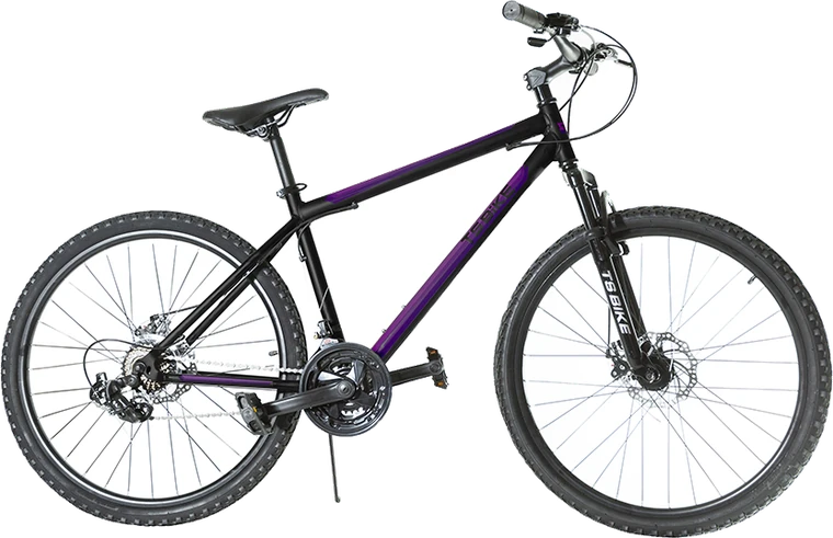 Bicicleta TS Bike Aro 29 Acero